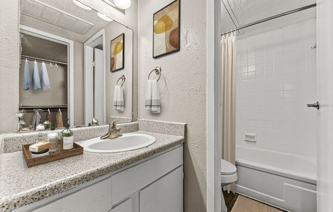 a bathroom with a sink and a shower and a mirror