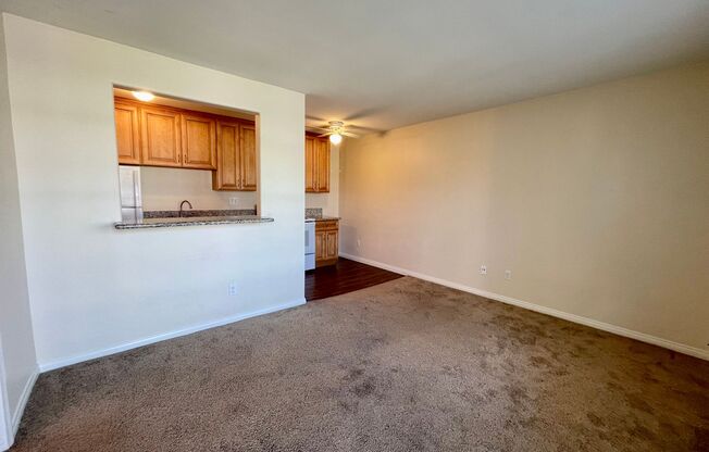 Studio, 1 bath, 375 sqft, $1,595, Unit 228