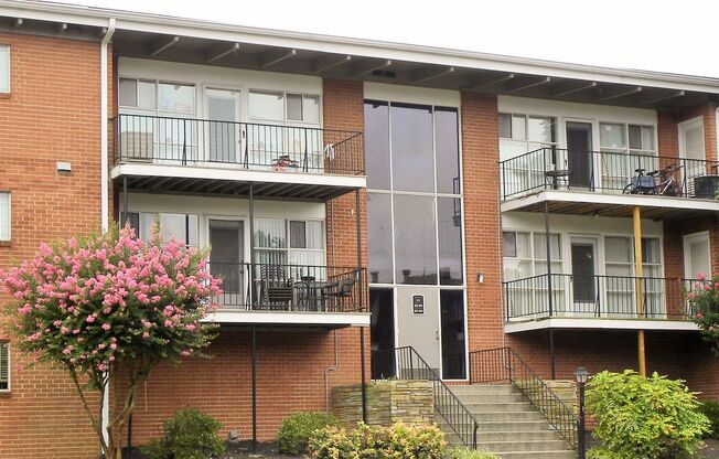 1 bed, 1 bath, 500 sqft, $999