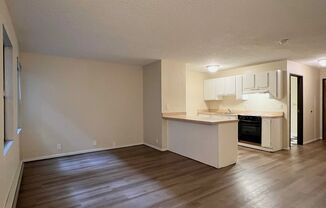 Studio, 1 bath, 495 sqft, $1,125, Unit 3