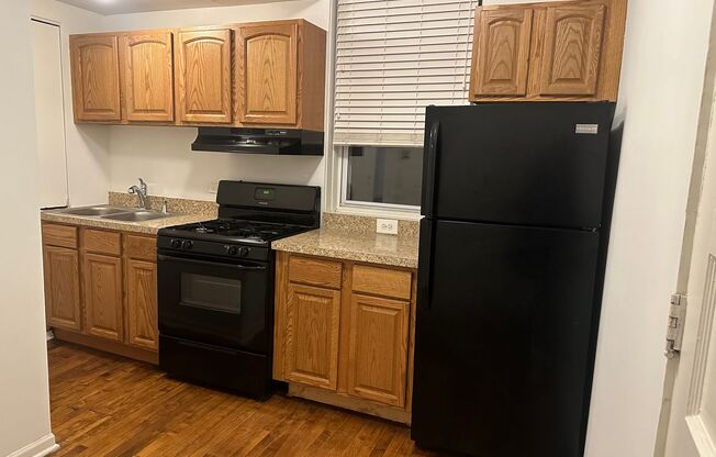 Beautiful 1 Bed/ 1 Bath Apartment Ravenswood Available September 1st