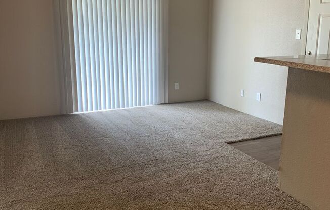 1 bed, 1 bath, 545 sqft, $795, Unit 2404