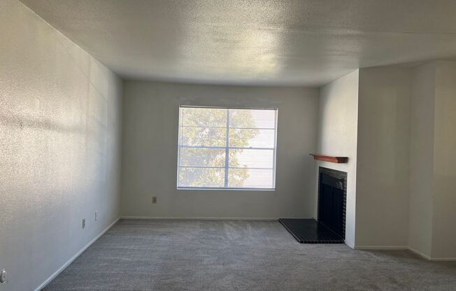 2 beds, 2 baths, 1,000 sqft, $1,225, Unit 404