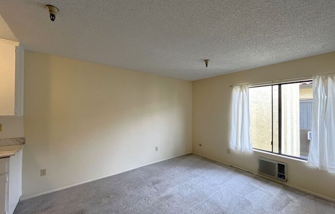 1BR/1BA North Park Condo - 55+ Community, Updated Bathroom, Freshly Painted, Onsite laundry, Craft Room, Gym, and TV Room!