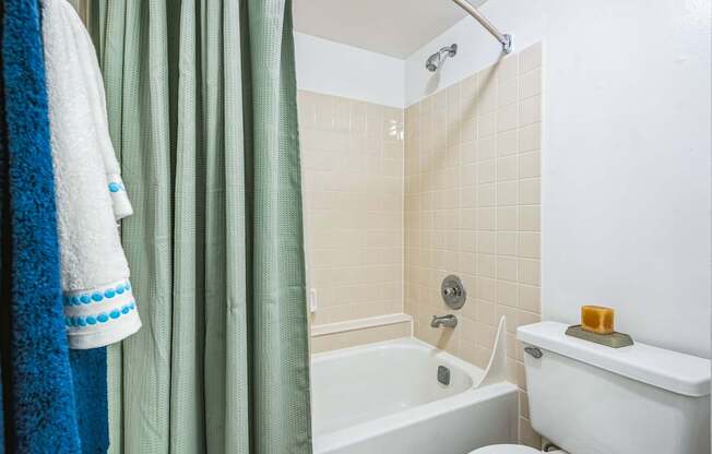 A white toilet sits next to a bathtub in a bathroom.