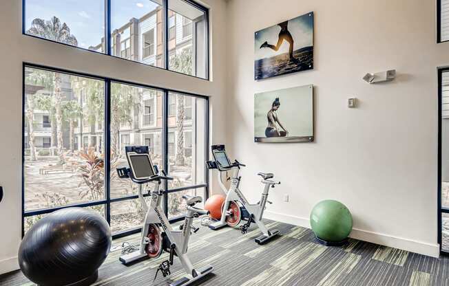 Premium fitness center with cardio and strength equipment at EOS