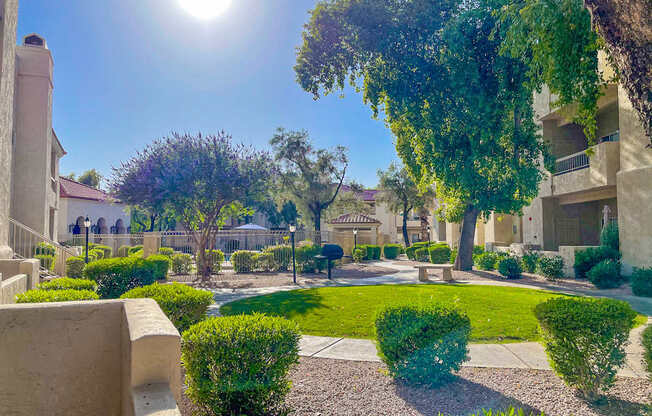 A sunny day in a well-maintained garden with a clear blue sky.