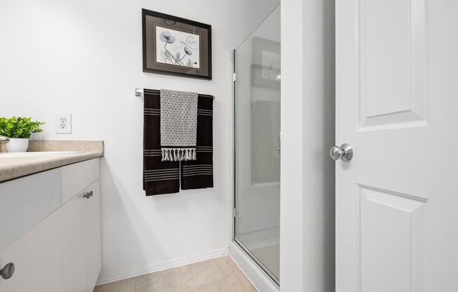 a bathroom with a shower and sink