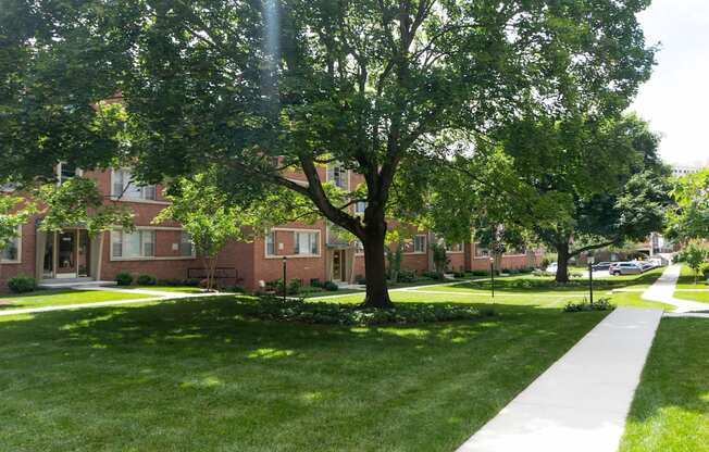 A tree in a grassy area in front of a building.