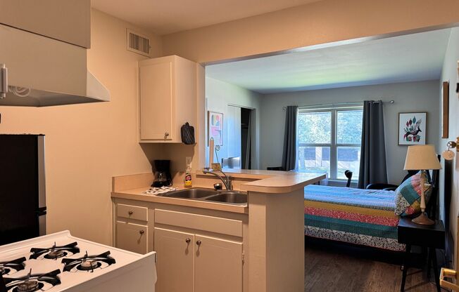 Studio, 1 bath, 310 sqft, $900, Unit 3