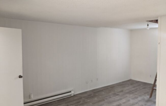 Brand New Remodeled Studio in Heart of Redmond