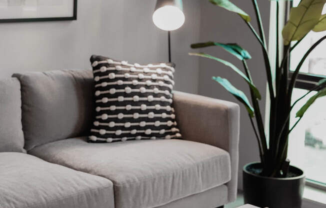 a living room with a couch and a coffee table and a plant at The Lively, Jersey City, NJ