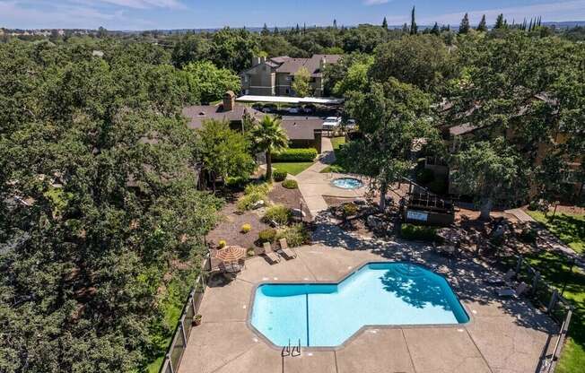 A swimming pool surrounded by trees and a house in the background.