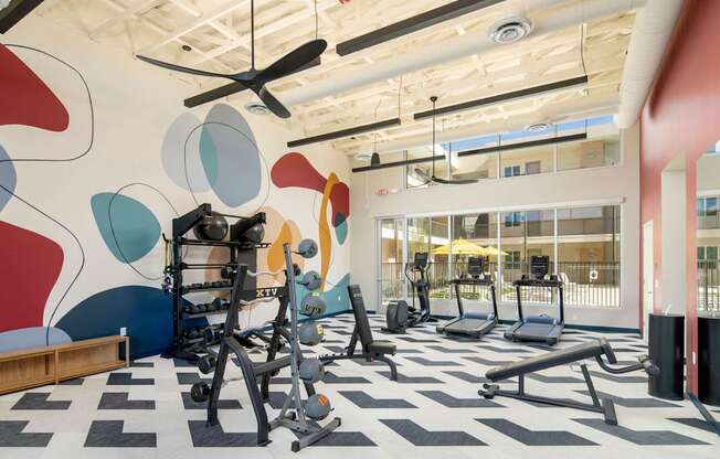 A gym with a variety of equipment including treadmills, weights, and a bench press.
