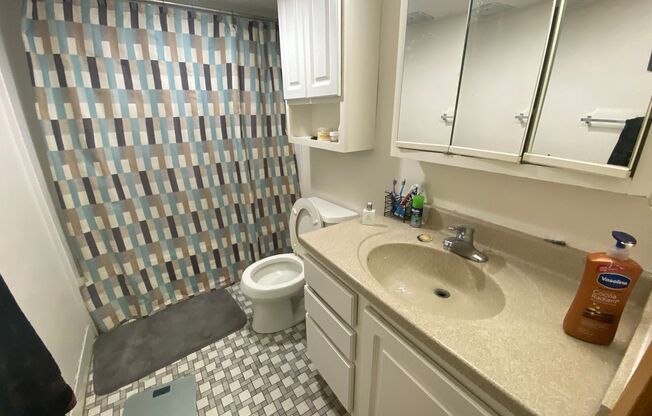 Studio, 1 bath, $1,145