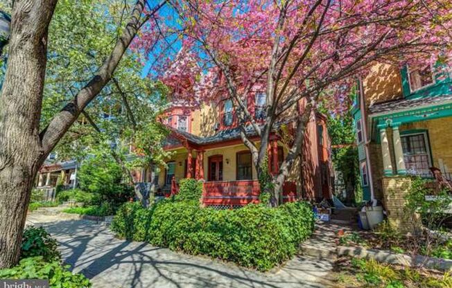 1 bed, 1 bath, $1,099, Unit B10