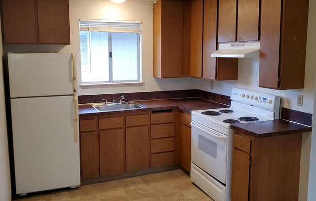 1 bed, 1 bath, 532 sqft, $995