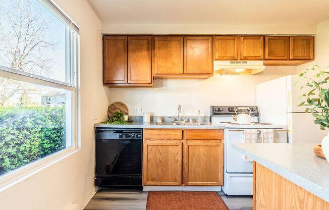 Pacific Walk Townhomes - Your New Oasis