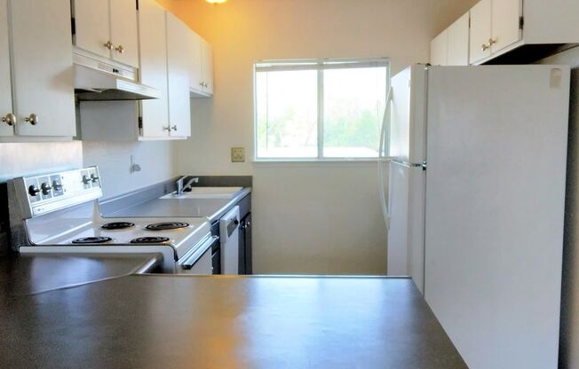 2 beds, 1 bath, 700 sqft, $1,200, Unit 415 Reno A*