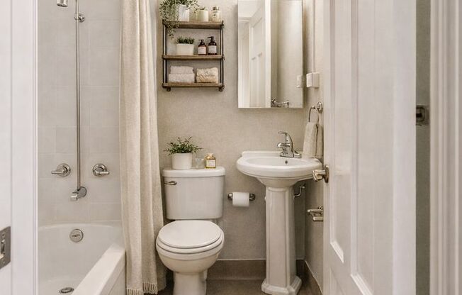 1 bed, 1 bath, 380 sqft, $1,250