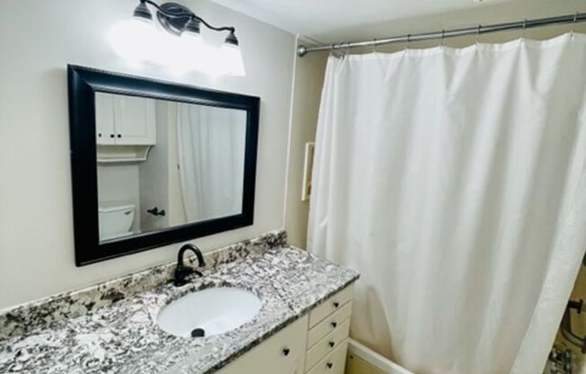 Beautiful 2-Bedroom Condo in Myers Park - All utilities included!