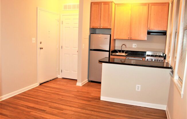 1 bed, 1 bath, 500 sqft, $2,095, Unit 106