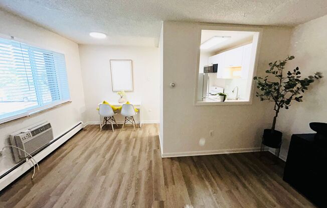 1 bed, 1 bath, 600 sqft, $1,300