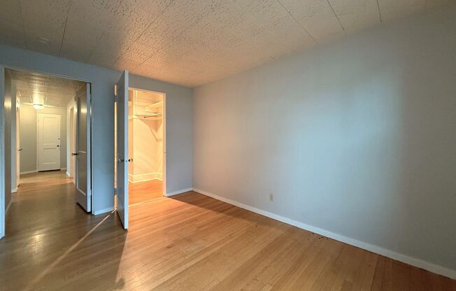 1 bed, 1 bath, 540 sqft, $1,595, Unit 404