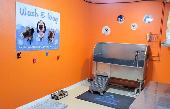 Private dog wash room with walk in basin, blow dryer and grooming table