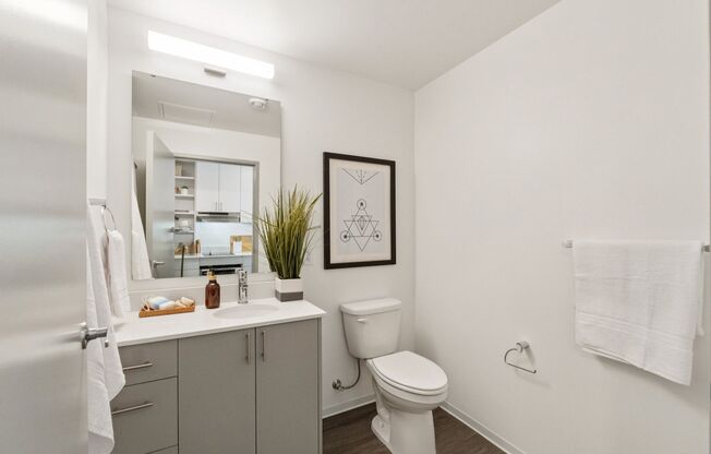 Studio, 1 bath, 398 sqft, $1,625, Unit 519