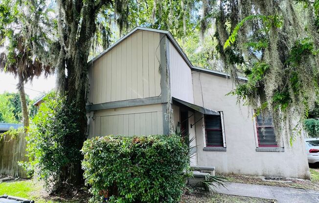 Walk to downtown or bike to UF from this 3 BR house!