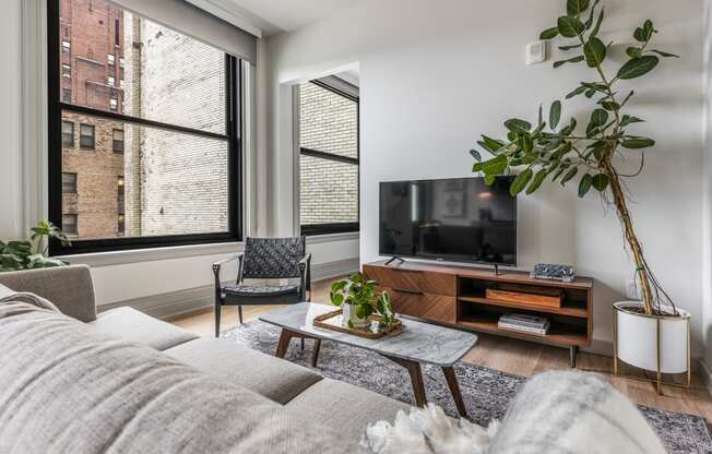a living room with a couch and a tv and two windows at The Commonwealth Building, Pennsylvania
