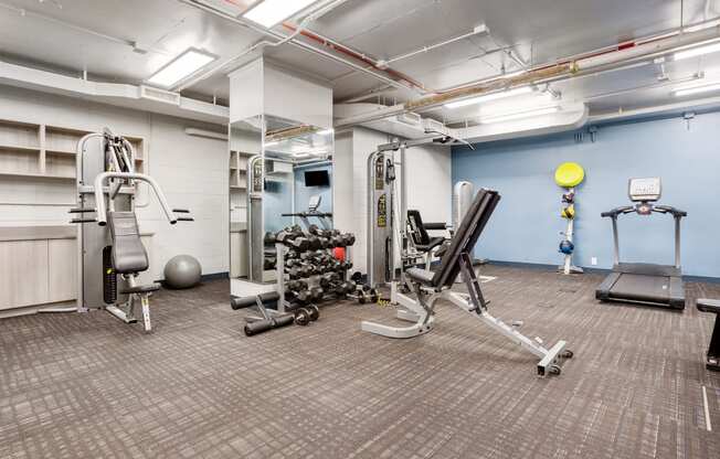 a spacious fitness center with cardio equipment and weights