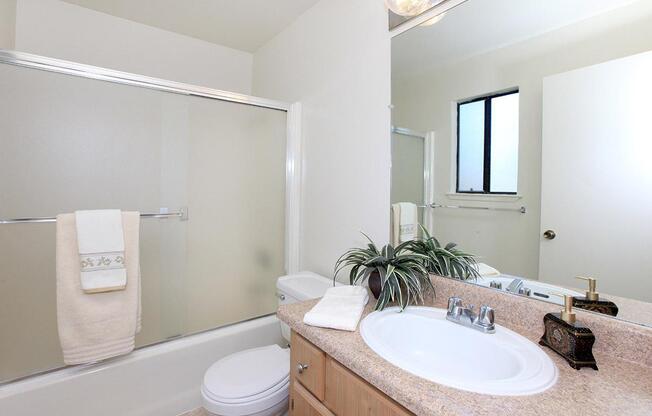 You will love the apartment features at Palm Lakes