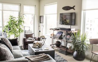 Partner-provided photo for $1225 unit
