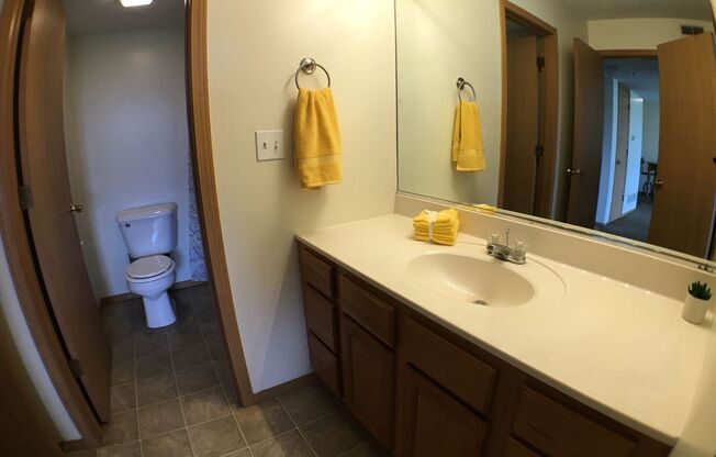 1 bed, 1 bath, $1,199