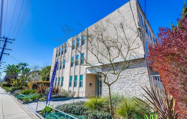 537 Hyde Park Blvd