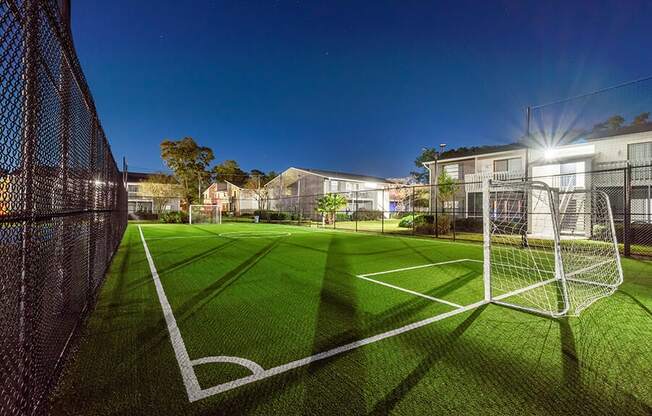 Community Soccer Field with Nets at Arbors at Orange Park Apartments located in Orange Park, FL.