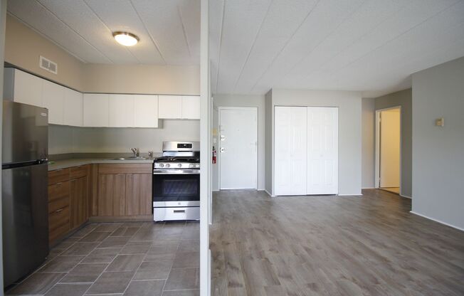 1 bed, 1 bath, 605 sqft, $1,245, Unit 203