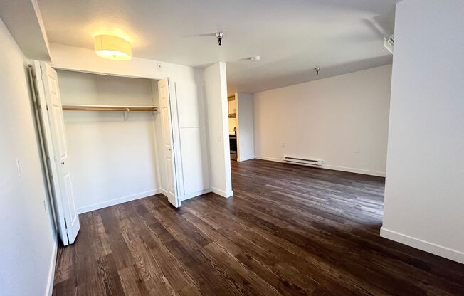 Studio, 1 bath, 480 sqft, $1,495, Unit 421