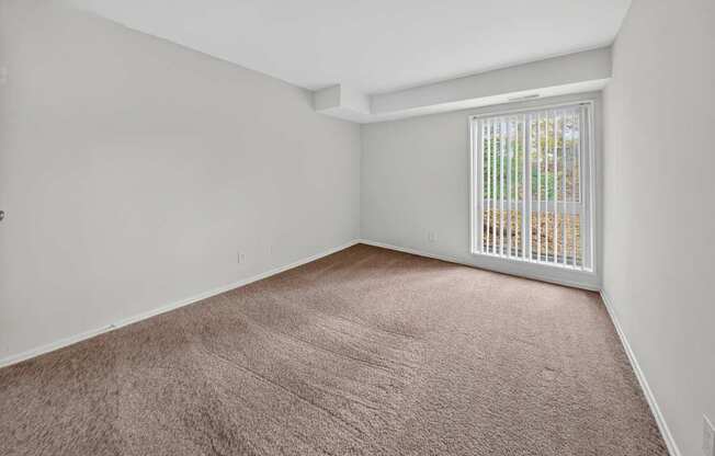 A room with a carpeted floor and a window with blinds.