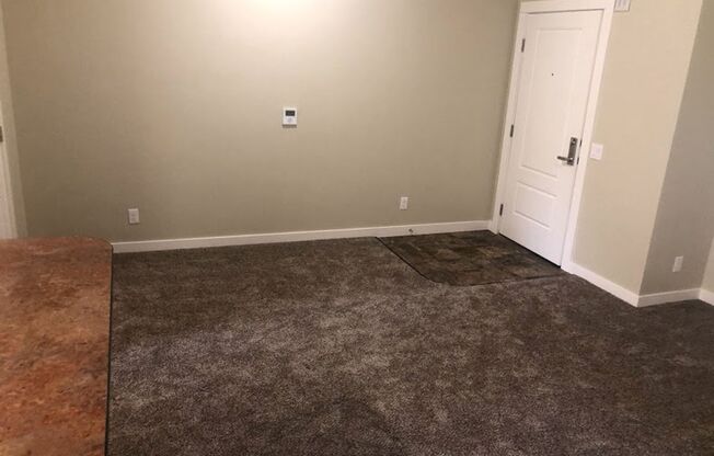 1 bed, 1 bath, 555 sqft, $995, Unit 307-203