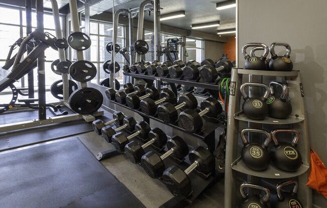 A gym with a variety of weights and dumbbells.