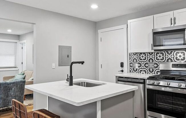 1117-1119 Spring Garden