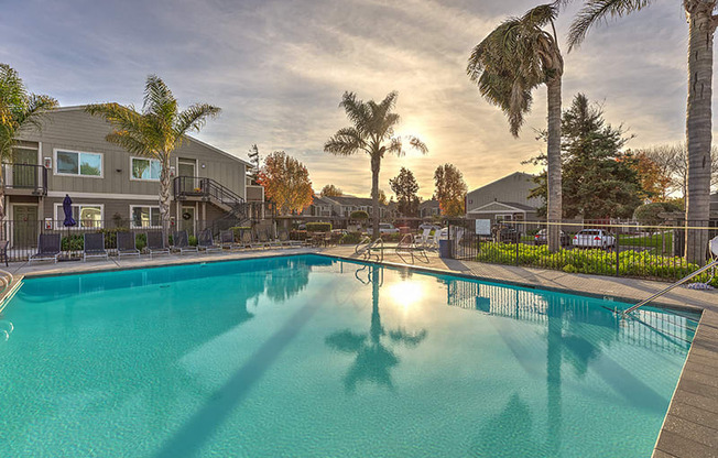 Shimmering Pool at Apts for rent in Lompoc | Vine by Vintage