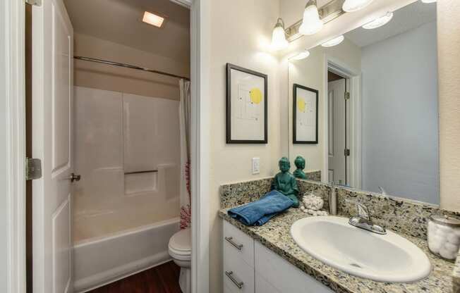  Bathroom with Granite Counters, Bathrub, Sink and Vanity