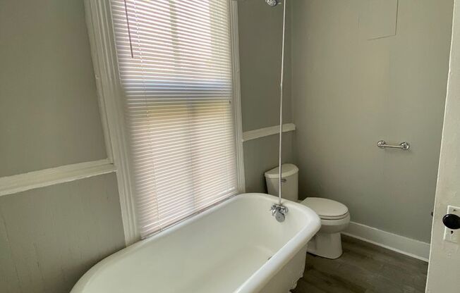 2/1 Available now in the Downtown area!