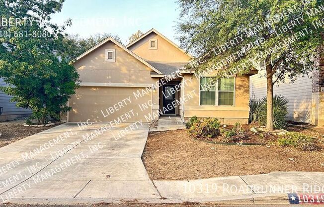 10319 ROADRUNNER RDG