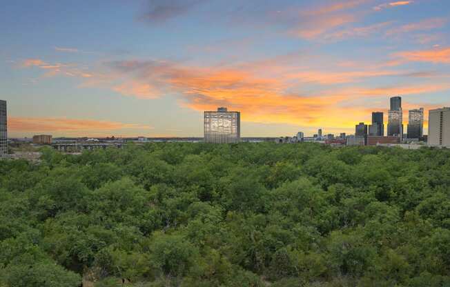 a view of the downtown austin skyline at sunset with trees in the foreground