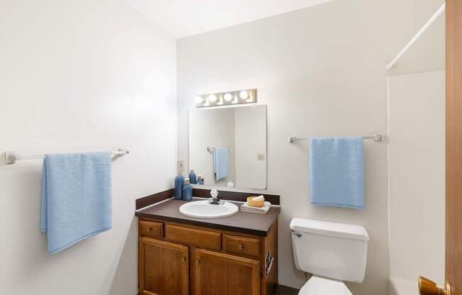 a bathroom with a toilet sink and a mirror at Rock Creek, Billings, MT 59102